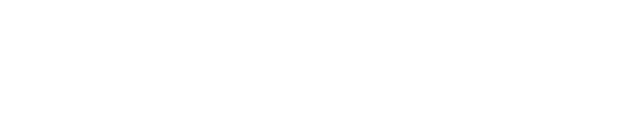 VisionXtent Logo